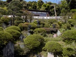p1000659.jpg