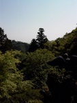 p1000662.jpg