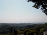 p1000671.jpg