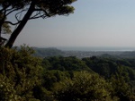 p1000672.jpg