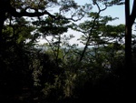 p1000675.jpg
