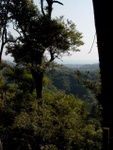 p1000676.jpg