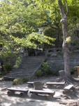 p1000677.jpg