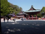 p1000679.jpg