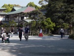 p1000680.jpg