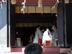p1000683.jpg
