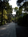 p1000690.jpg