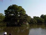 p1000692.jpg