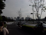 p1000713.jpg