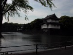 p1000714.jpg