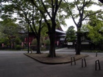 p1000717.jpg