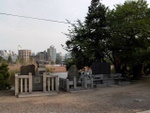 p1000722.jpg