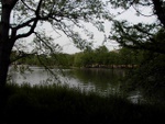 p1000727.jpg