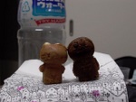 p1000729.jpg