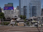 p1010161.jpg