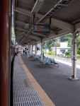 p1010191.jpg