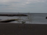 p1010208.jpg