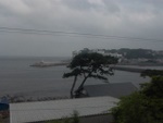 p1010222.jpg