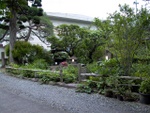 p1010231.jpg