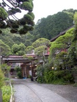 p1010235.jpg