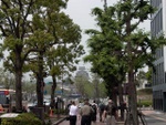 p1010246.jpg