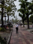 p1010247.jpg