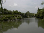 p1010252.jpg