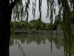p1010253.jpg