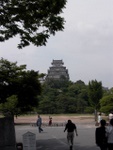 p1010254.jpg