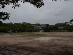 p1010259.jpg