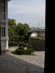 p1010260.jpg
