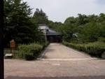 p1010261.jpg