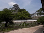 p1010263.jpg