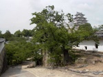p1010265.jpg