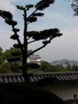 p1010274.jpg