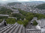 p1010277.jpg