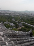 p1010278.jpg