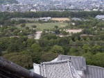 p1010283.jpg
