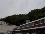 p1010292.jpg