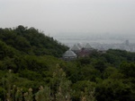 p1010297.jpg