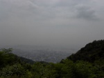 p1010299.jpg
