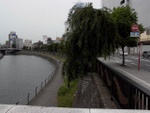 p1010331.jpg