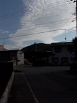 p1010357.jpg