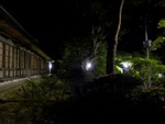 p1010379.jpg