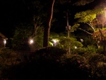 p1010380.jpg