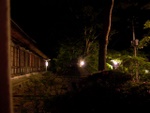 p1010381.jpg