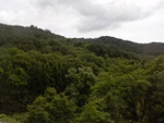 p1010390.jpg