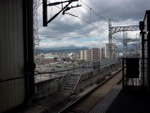p1010398.jpg