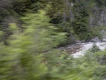 p1010459.jpg
