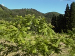 p1010463.jpg